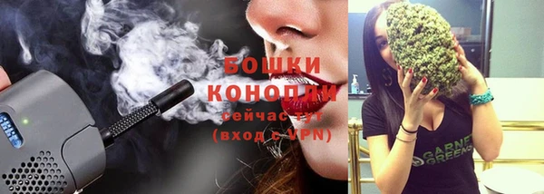 молекула духа Инта