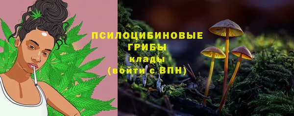 таблы Иннополис