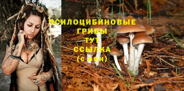 таблы Иннополис